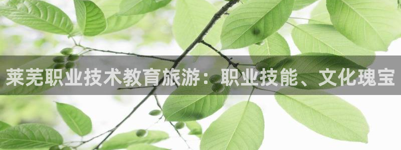 ag8亚洲国际集团j9