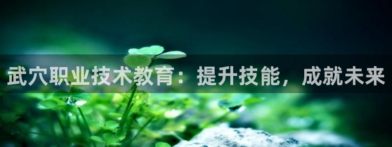 j9官网登录入口
