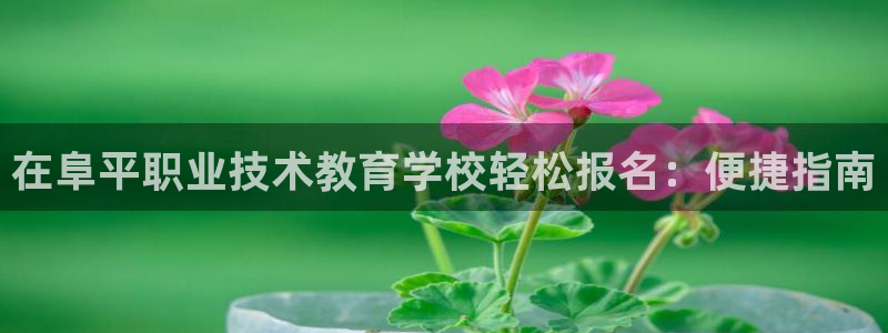 j9官网登录入口