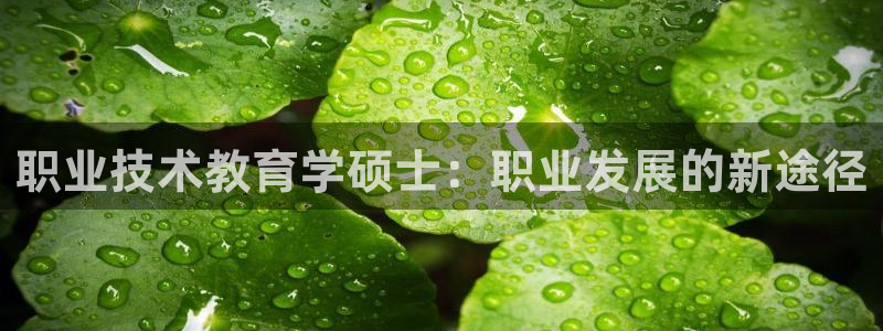 J9直营平台|职业技术教育学硕士：职业发展的新途径