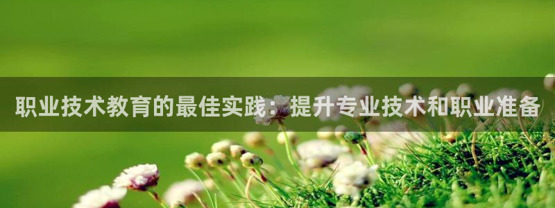 AG九游会j9官方网站|职业技术教育的最佳实践：提升专业技术和职业准备